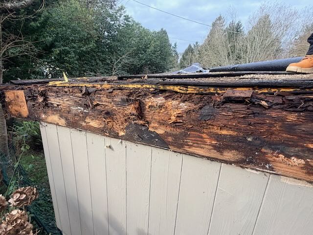 New fascia and trim carpentry