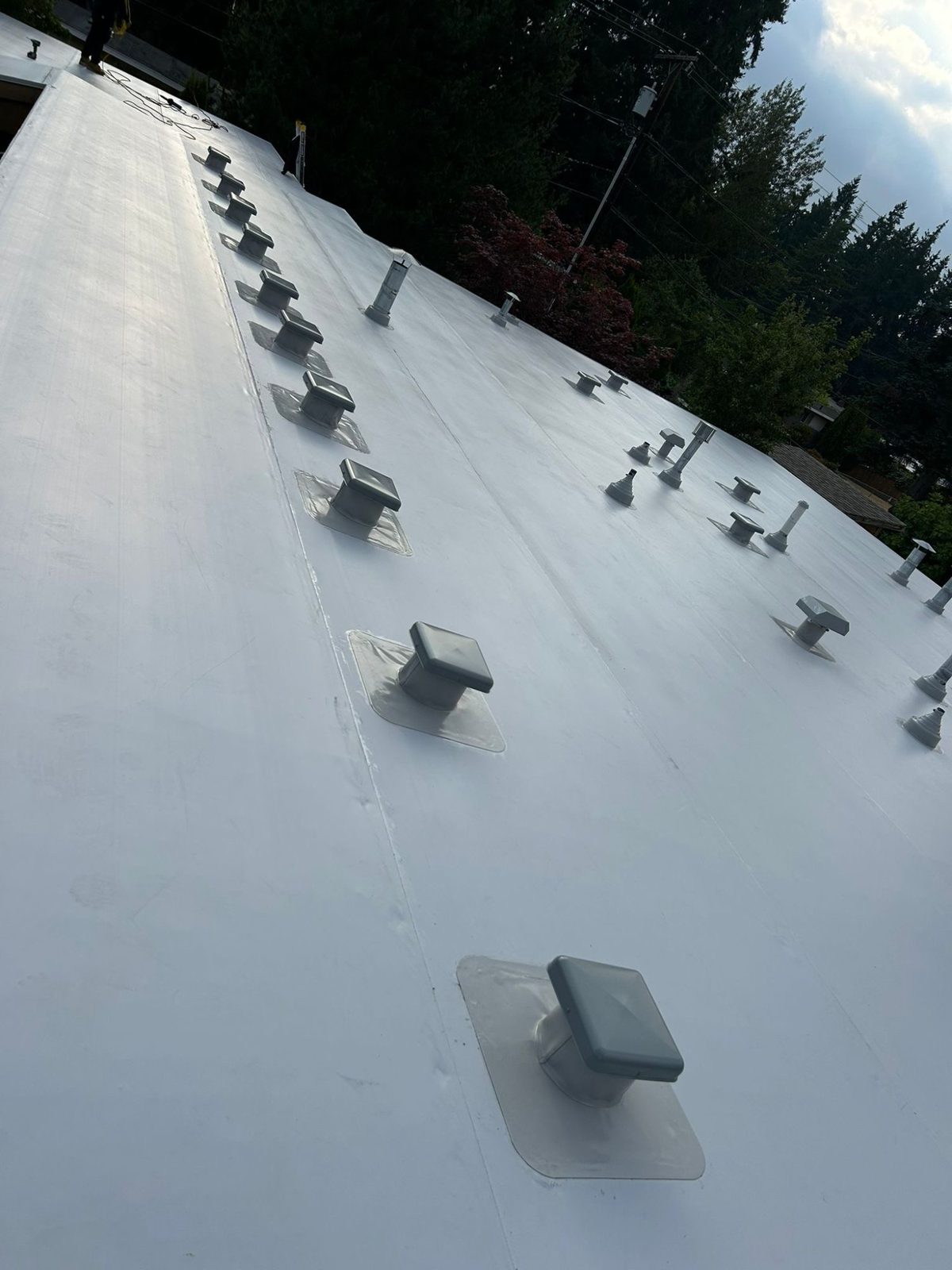 PVC roof detail - Snoqualmie
