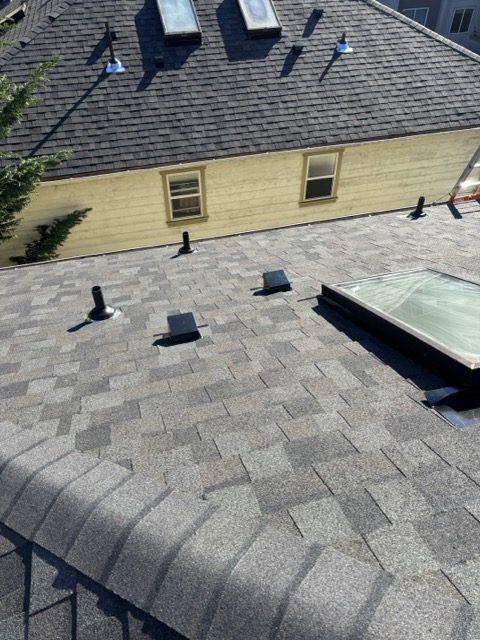 Shingle roof - Maple Valley